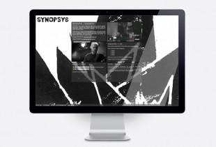 Synopsys Project taiani Vincent